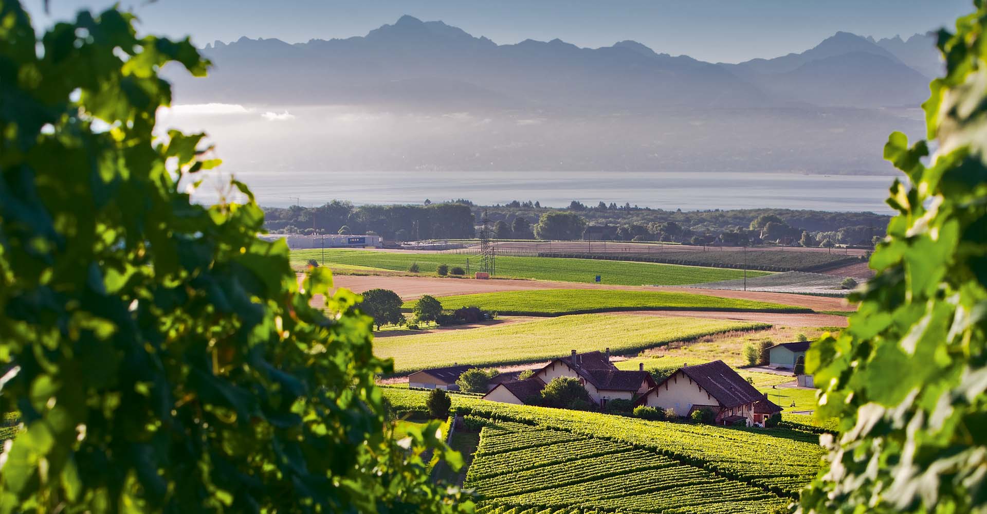 Domaine du Martheray  Fchy - La Cte AOC